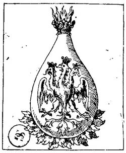 Alchimie - Salomon Trimosin - La toison d'or